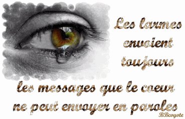 *** la vérité ***